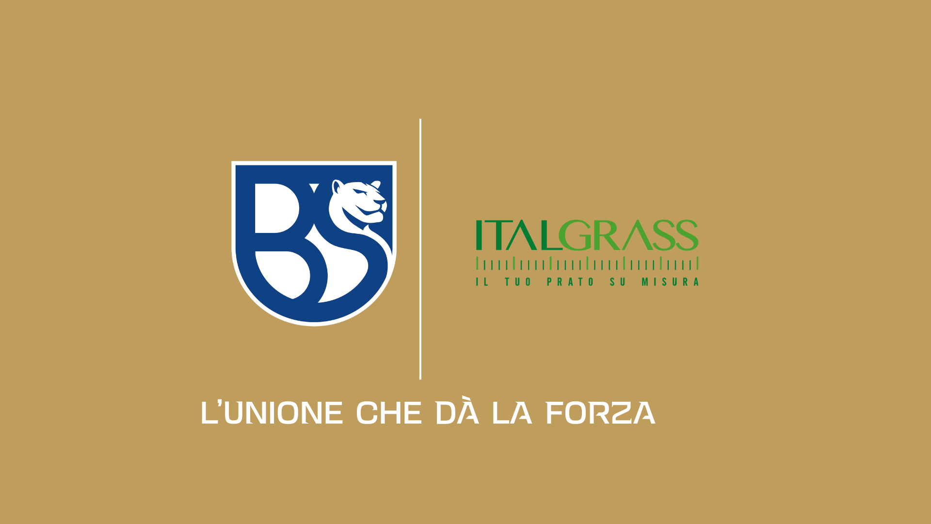 Immagine singola