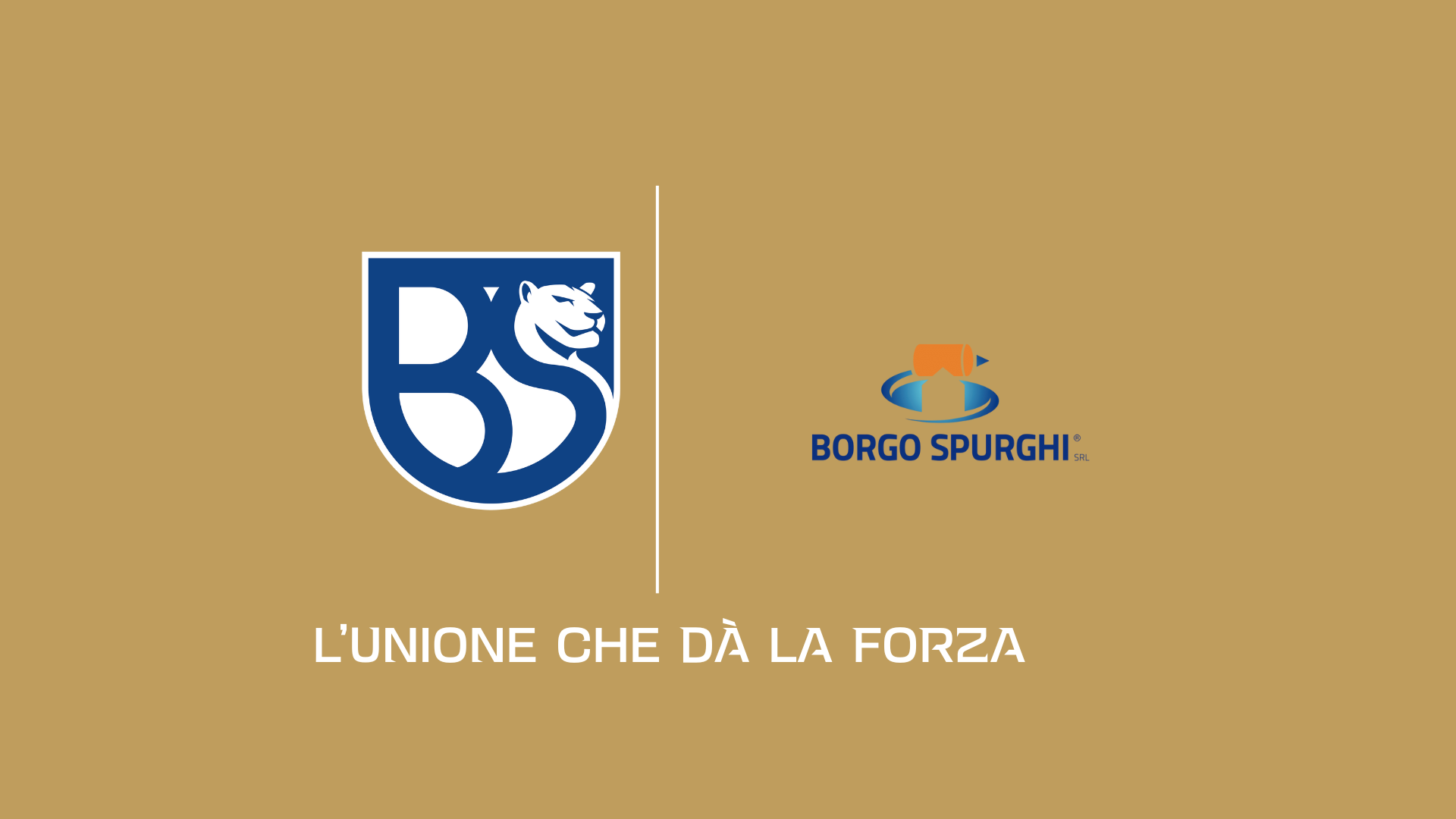 Immagine singola