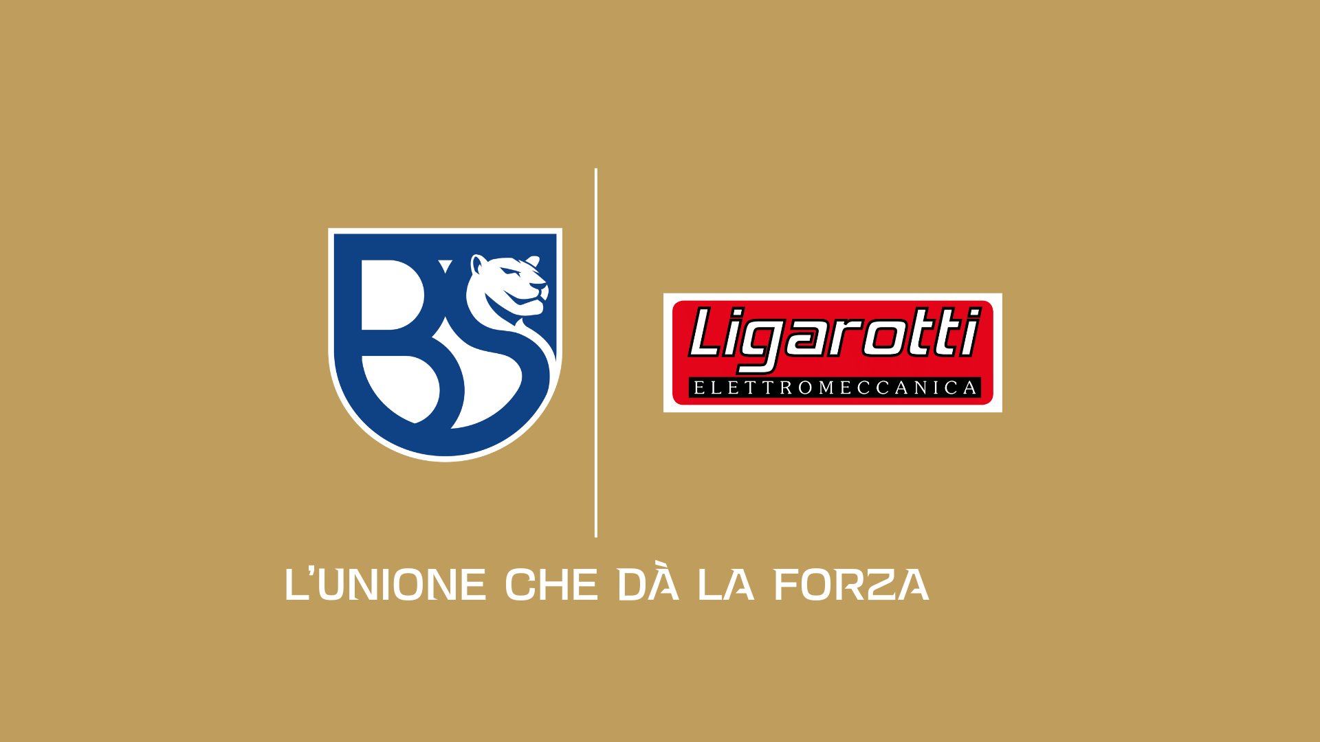 Immagine singola